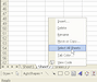 Select Multiple Sheets